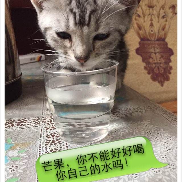 宾根应用技术大学机械工程文凭证书